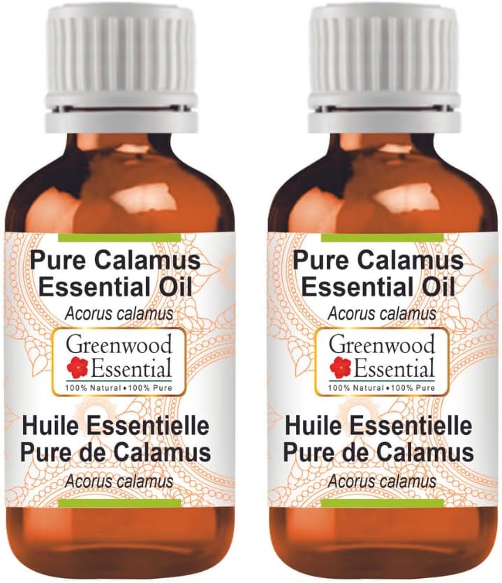 Greenwood Essential Thuja Essential Oil (Thuja occidentalis) with Glass Dropper | Pure | Non-Sticky | Non-Greasy | Lightweight | Men & Women | All Skin Types | Steam Distilled 10ml (0.33 oz)