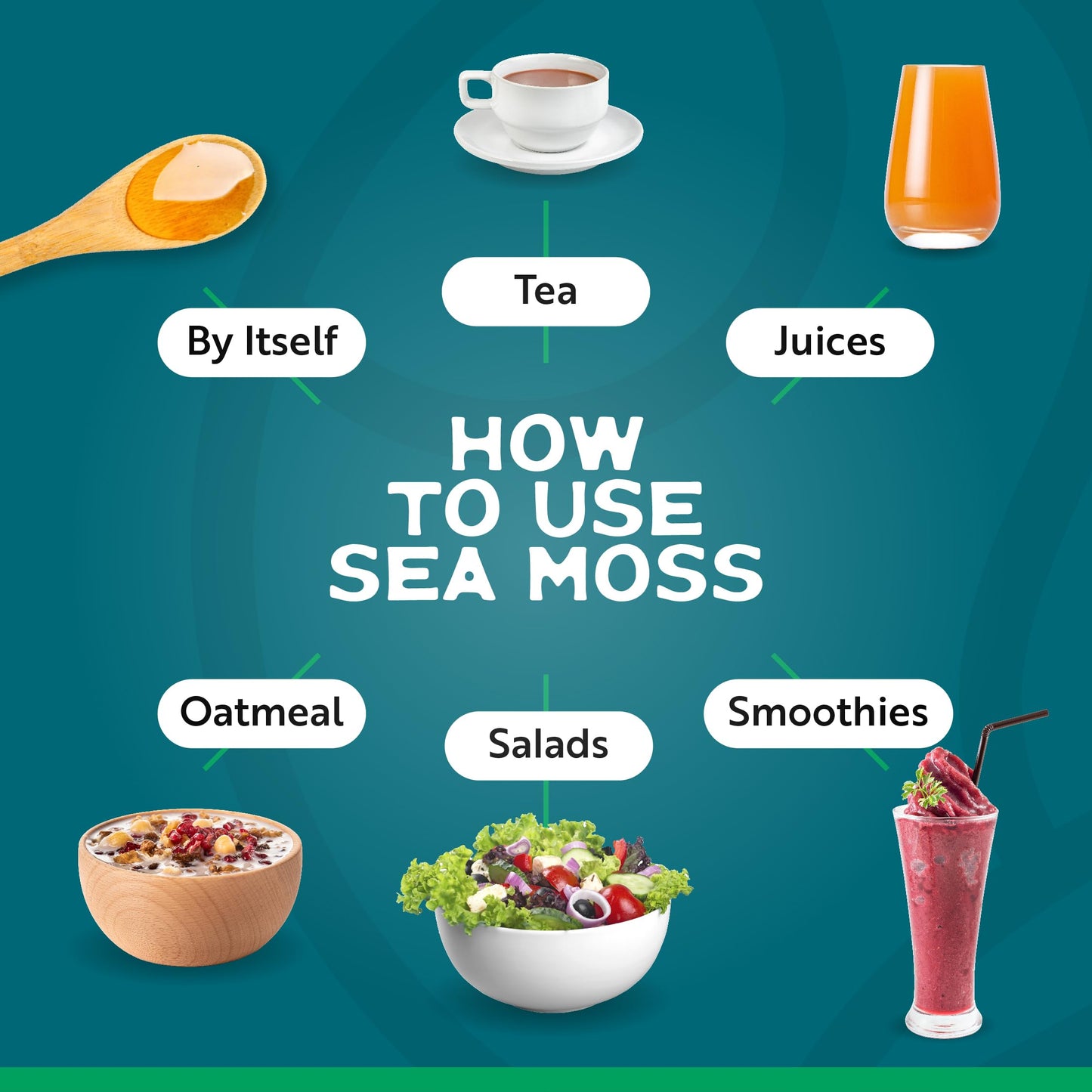 Herbal Vineyards Wildcrafted Irish Pineapple Sea Moss Gel 16 Oz - Organic Seamoss Gel Made with Dried Seaweed & Fresh Sea Vegetables, Natural & Plant-Based, Harvested in Pristine Waters, USA