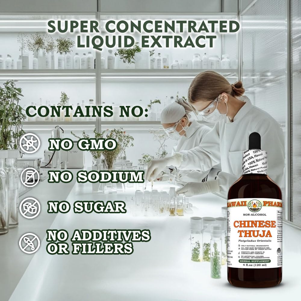 Chinese Thuja (Platycladus Orientalis) Dry Seed Glycerite, Made in Hawaii, All Natural, Vegan, Lab Tested Alcohol-Free Liquid Extract - 2 fl.oz