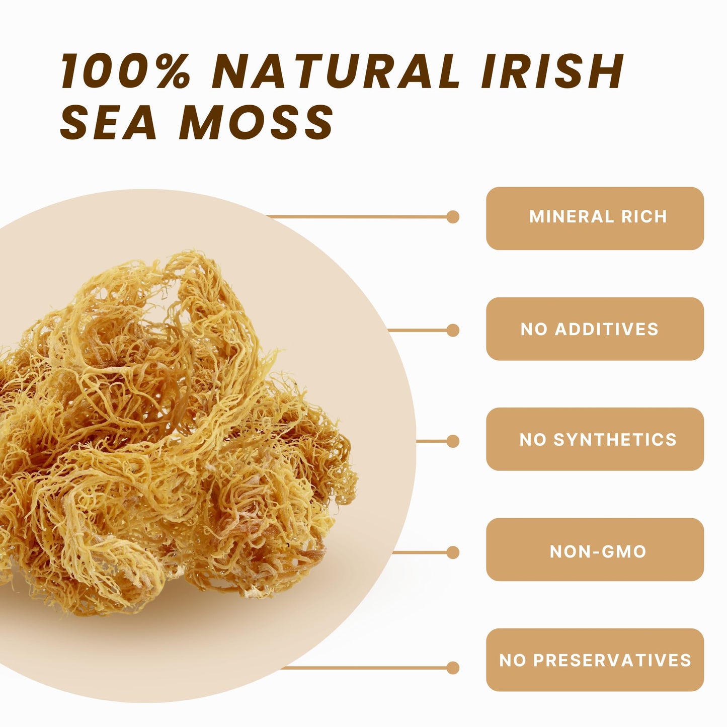 Raw Wildcrafted Gold Sea Moss from St. Lucia, Sun-Dried Whole Leaf Irish Moss, Natural Wild Sea Moss | Makes 120+ oz Gel | 8 oz Bag