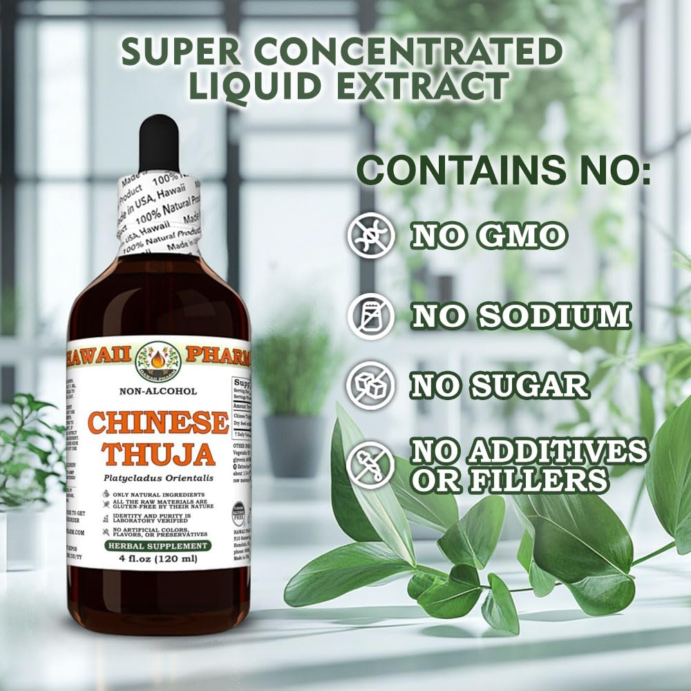 Chinese Thuja (Platycladus Orientalis) Dry Seed Glycerite, Made in Hawaii, All Natural, Vegan, Lab Tested Alcohol-Free Liquid Extract - 2 fl.oz