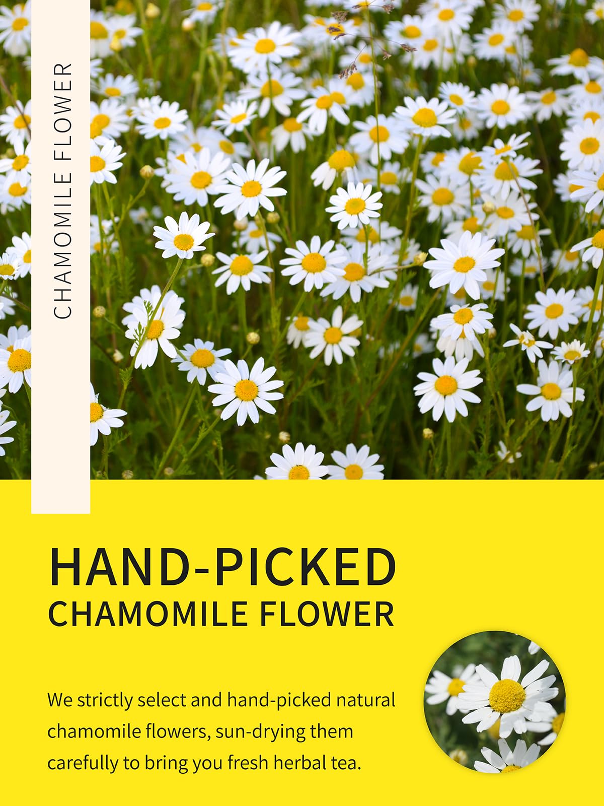 TeeLux Chamomile Tea Bags, 1.5g/bag, Pure Natural Chamomile Flowers Herbal Tea, Caffeine Free, 100 Count
