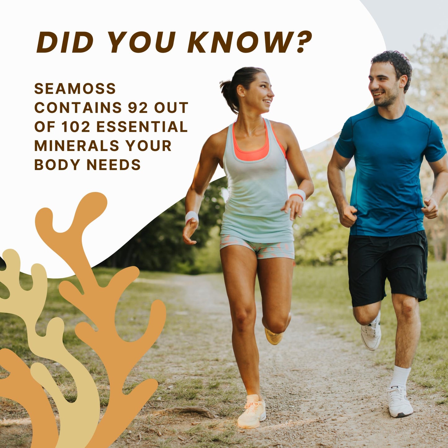 Raw Wildcrafted Gold Sea Moss from St. Lucia, Sun-Dried Whole Leaf Irish Moss, Natural Wild Sea Moss | Makes 120+ oz Gel | 8 oz Bag