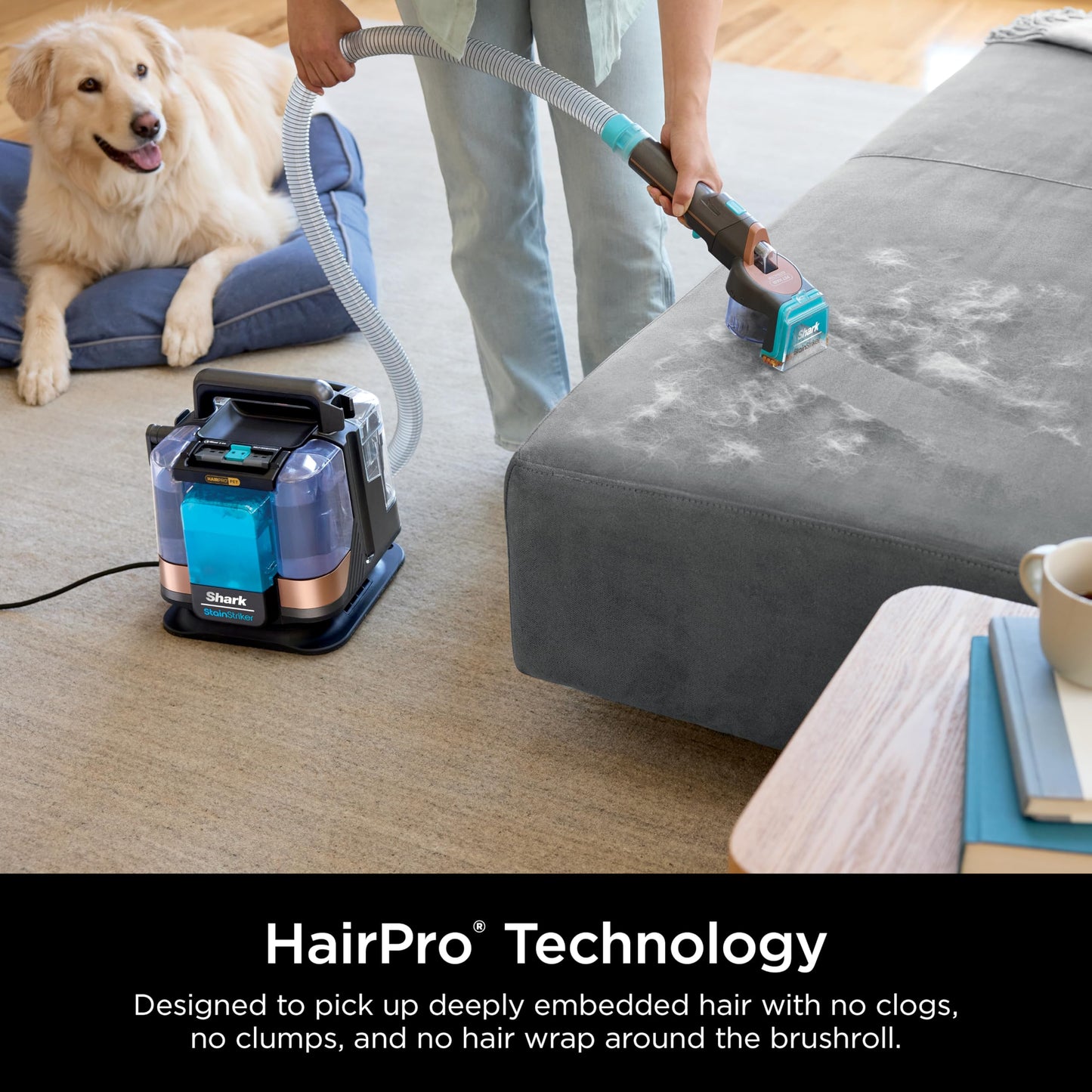 Shark StainStriker Portable Carpet Upholstery & Area Rug Cleaner, Stain & Odor Remover, Perfect for Car Interiors, Nordic Blue, PX202BRN