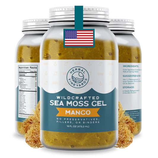Herbal Vineyards Wildcrafted Irish Pineapple Sea Moss Gel 16 Oz - Organic Seamoss Gel Made with Dried Seaweed & Fresh Sea Vegetables, Natural & Plant-Based, Harvested in Pristine Waters, USA