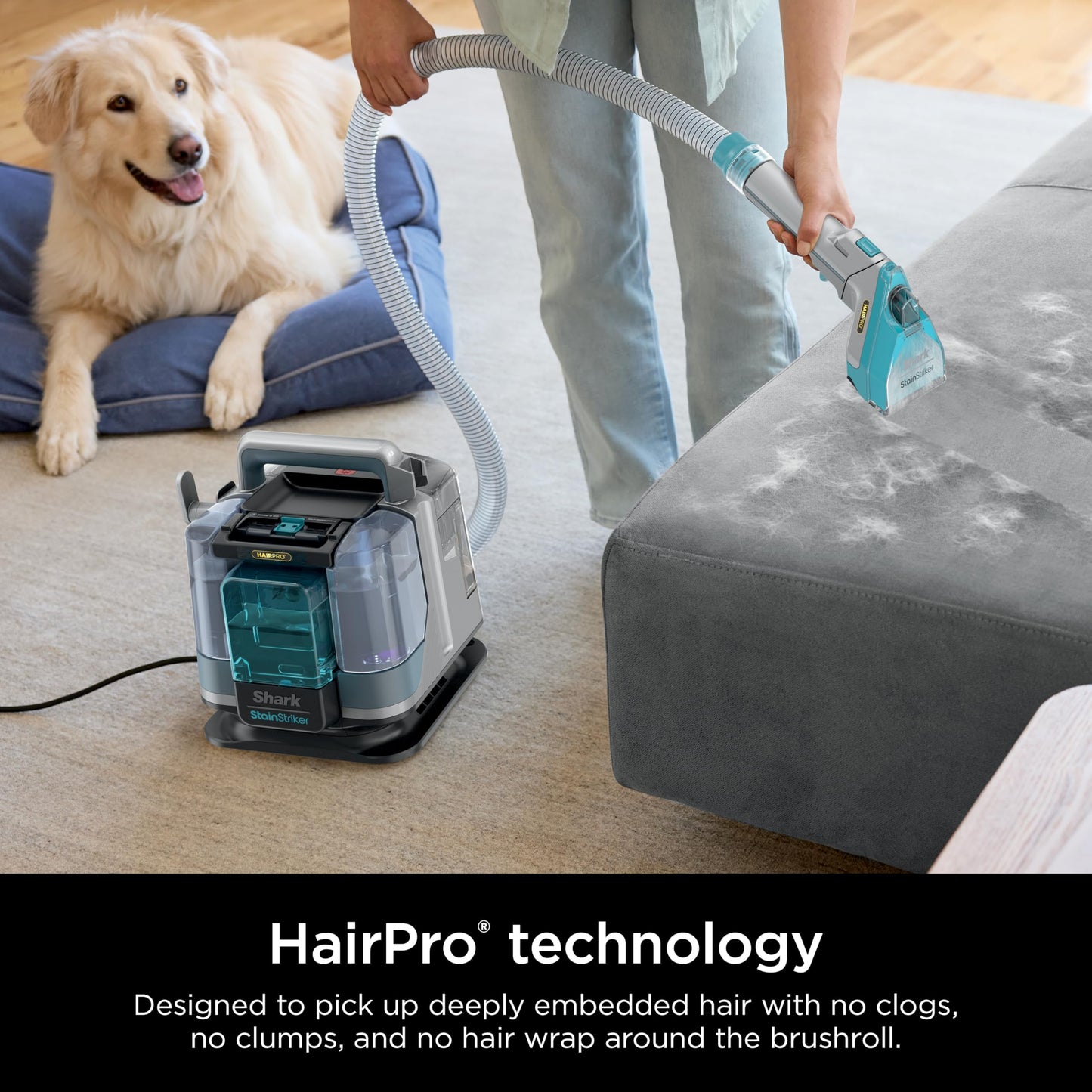 Shark StainStriker Portable Carpet Upholstery & Area Rug Cleaner, Stain & Odor Remover, Perfect for Car Interiors, Nordic Blue, PX202BRN