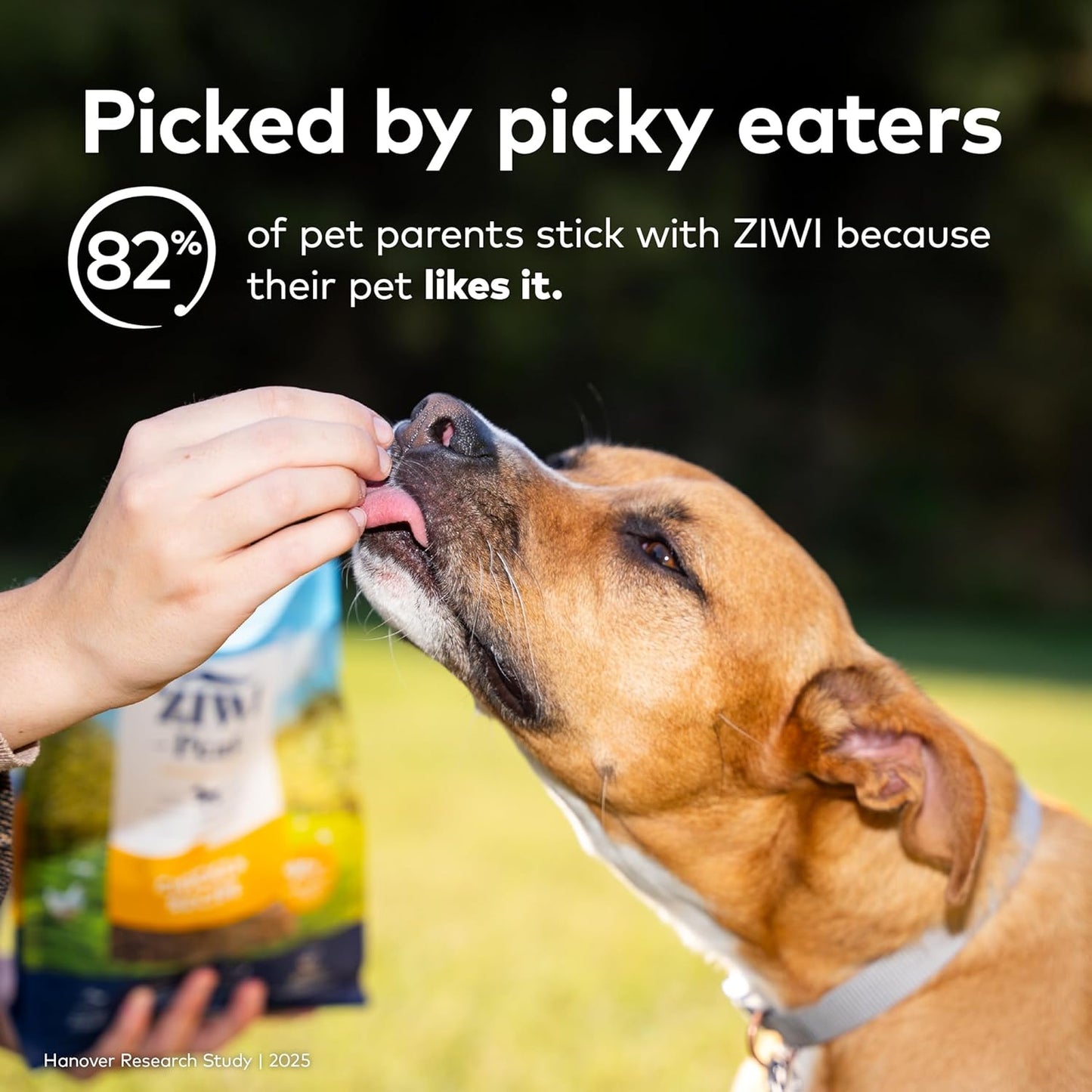 ZIWI Peak Air-Dried Dog Food Bundle - All Natural, High Protein, Grain Free & Limited Ingredient with Superfoods (Beef, Lamb & Chicken, 16oz Each)