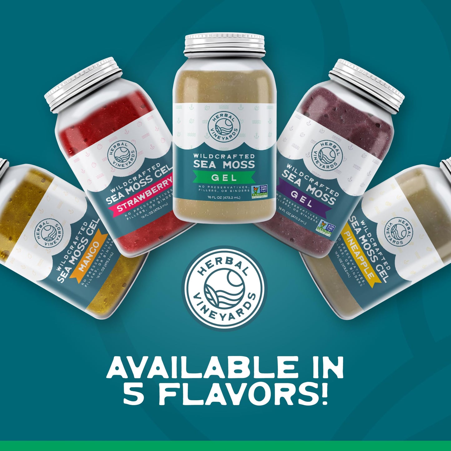 Herbal Vineyards Wildcrafted Irish Pineapple Sea Moss Gel 16 Oz - Organic Seamoss Gel Made with Dried Seaweed & Fresh Sea Vegetables, Natural & Plant-Based, Harvested in Pristine Waters, USA