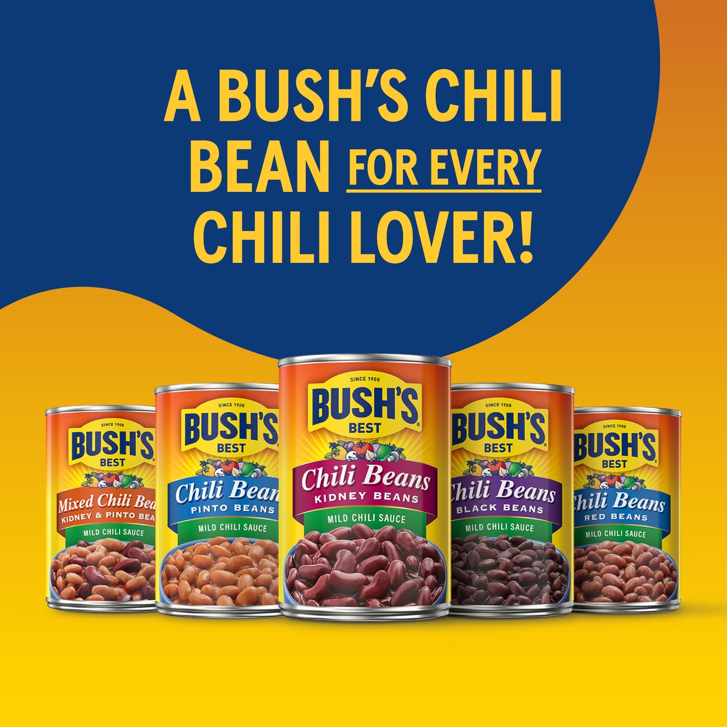 BUSH'S BEST 16 oz Canned Mild Red Chili Beans, Source of Plant Based Protein and Fiber, Low Fat, Gluten Free, (Pack of 12)