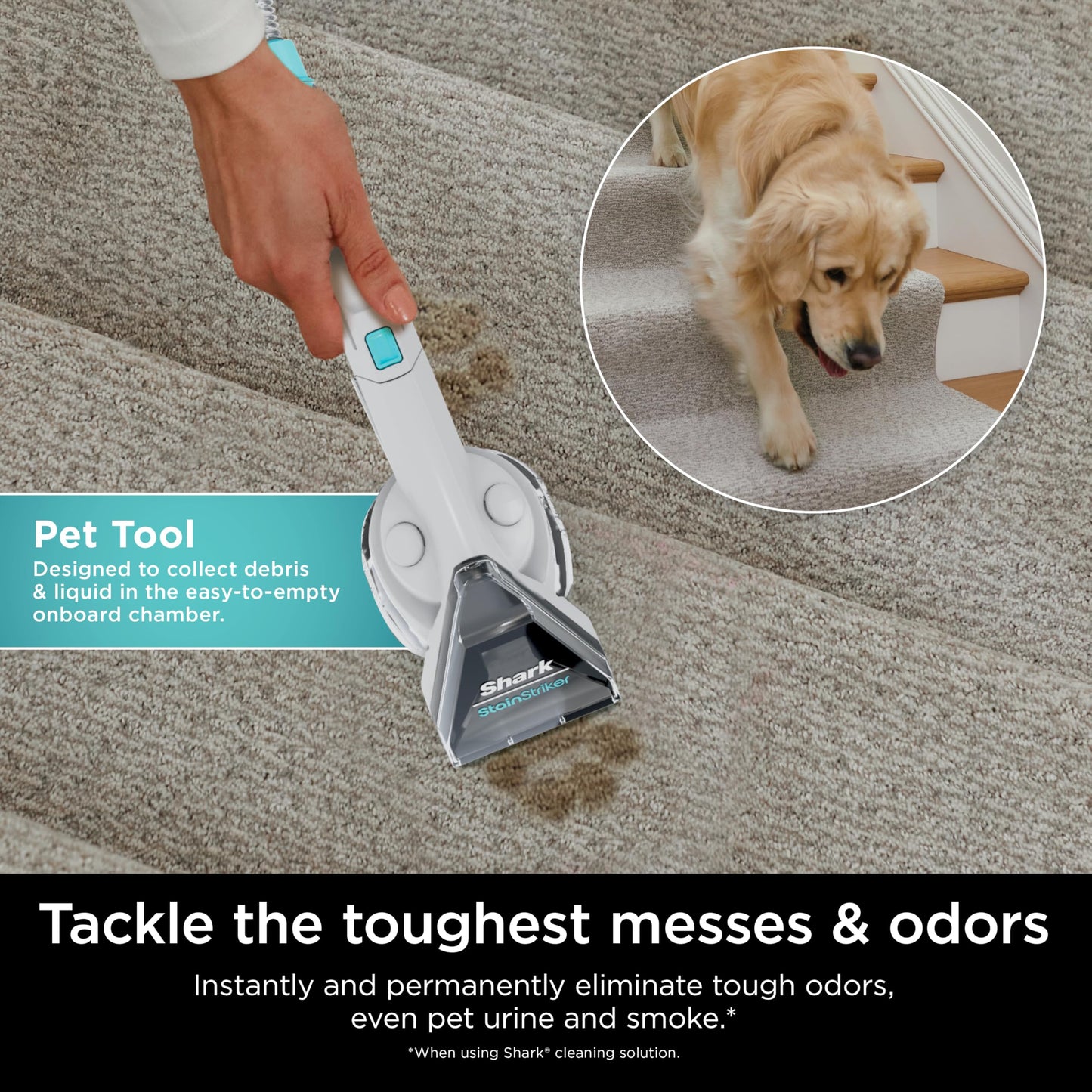 Shark StainStriker Portable Carpet Upholstery & Area Rug Cleaner, Stain & Odor Remover, Perfect for Car Interiors, Nordic Blue, PX202BRN