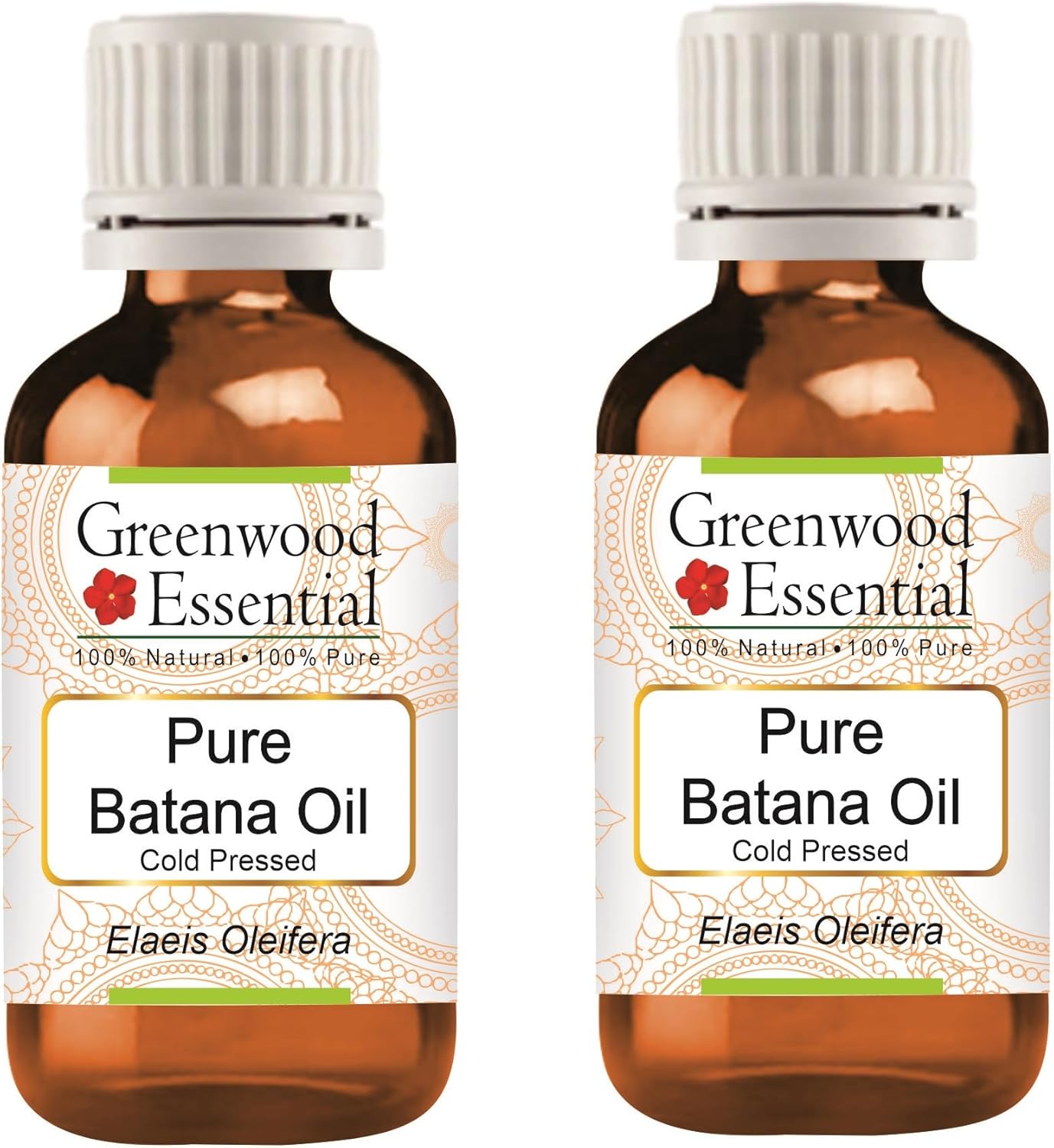 Greenwood Essential Thuja Essential Oil (Thuja occidentalis) with Glass Dropper | Pure | Non-Sticky | Non-Greasy | Lightweight | Men & Women | All Skin Types | Steam Distilled 10ml (0.33 oz)